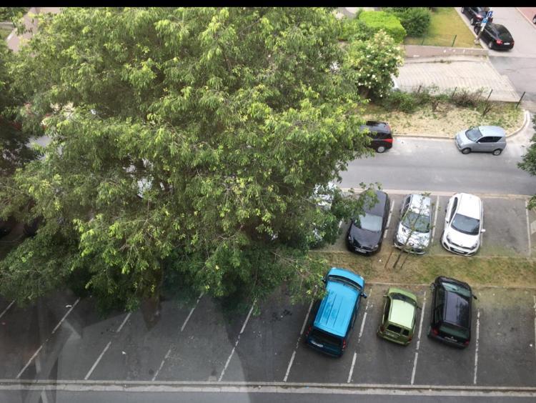 Bedinreims "Burgundy Bottle" 110M2 Exceptional, 4 Chambres Doubles, 2 Bain, Free Park & Wifi, Tout Equipe Dış mekan fotoğraf