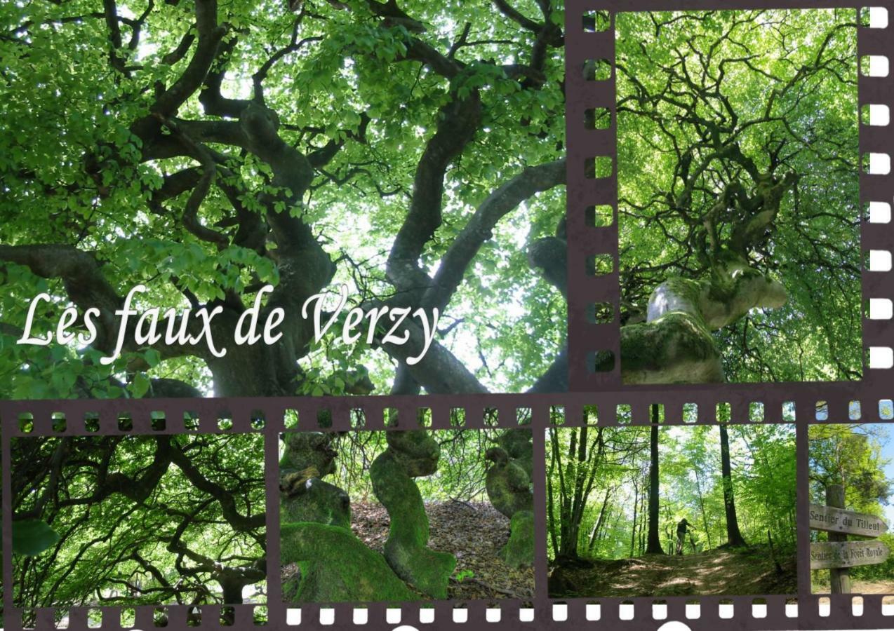 Bedinreims "Burgundy Bottle" 110M2 Exceptional, 4 Chambres Doubles, 2 Bain, Free Park & Wifi, Tout Equipe Dış mekan fotoğraf